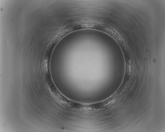 X0000087590598200705041511