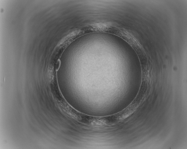 X0000087590599200705041511