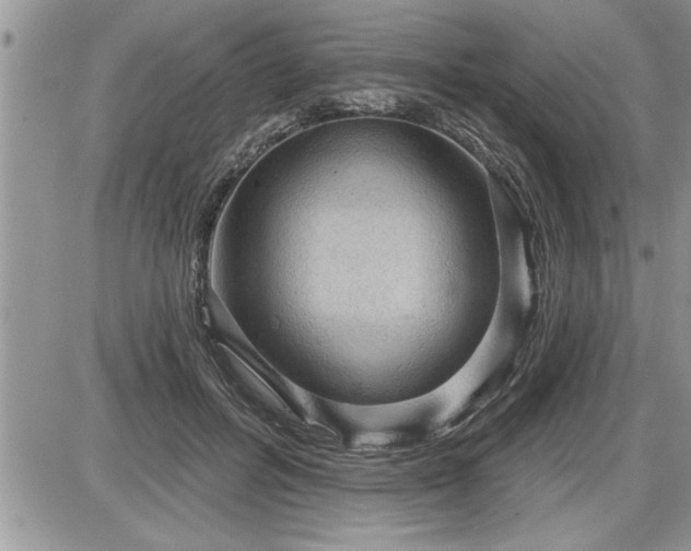 X0000087590600200705041511