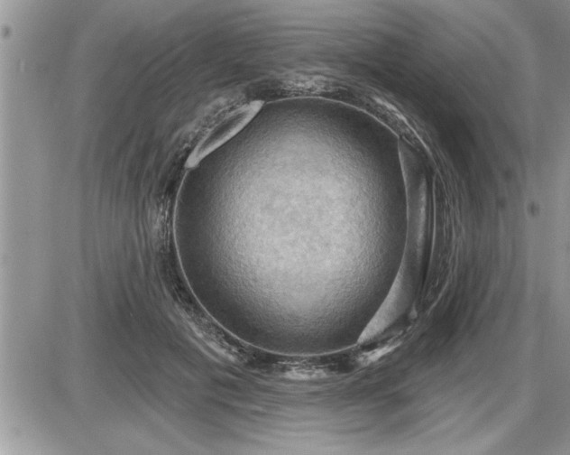 X0000087590601200705041511