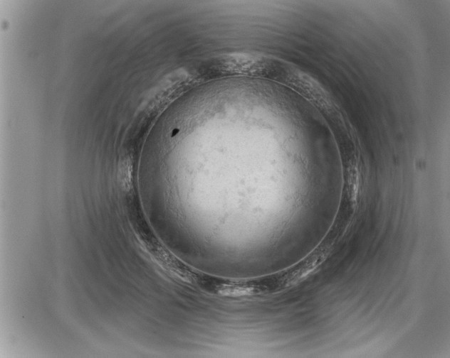 X0000087590602200705041511