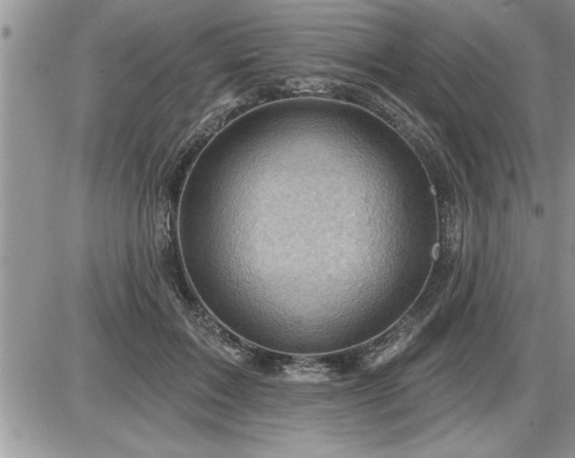 X0000087590603200705041511