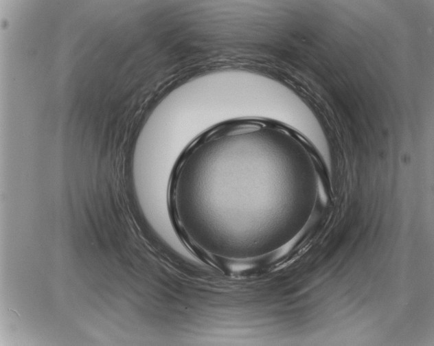 X0000087590604200705041511