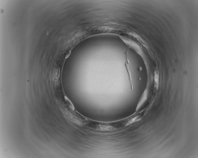 X0000087590605200705041511