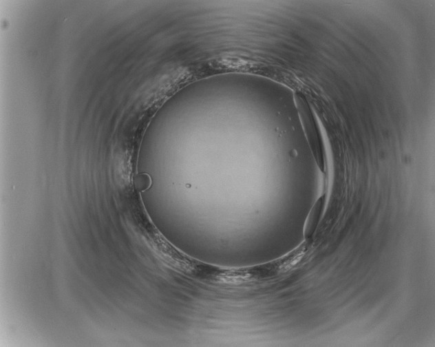 X0000087590606200705041511