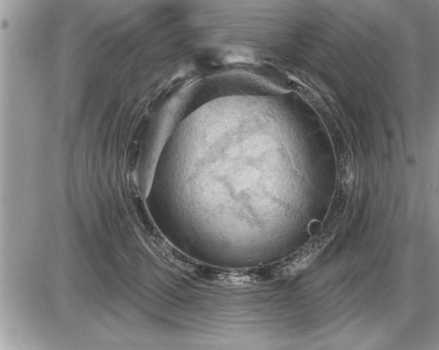 X0000087590607200705041511