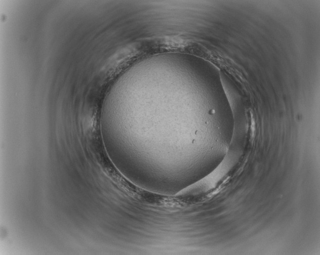 X0000087590608200705041511