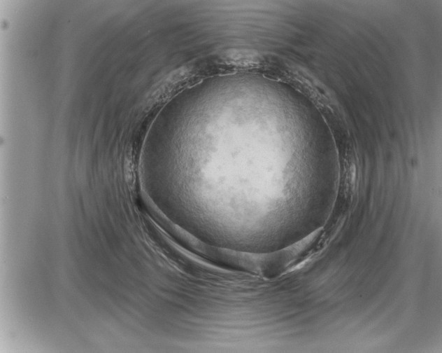 X0000087590609200705041511