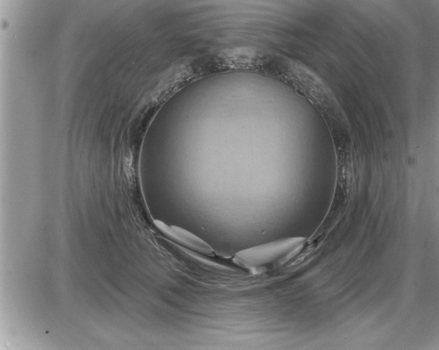 X0000087590610200705041511