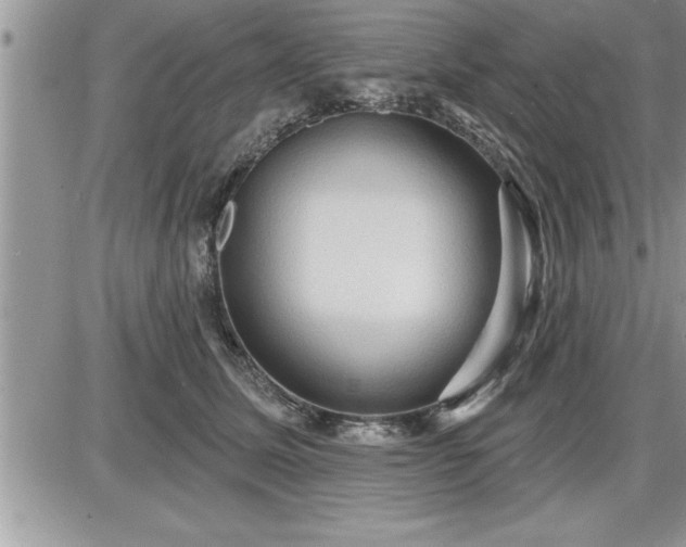 X0000087590611200705041511