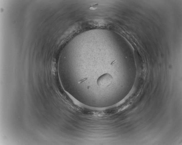 X0000087590612200705041511