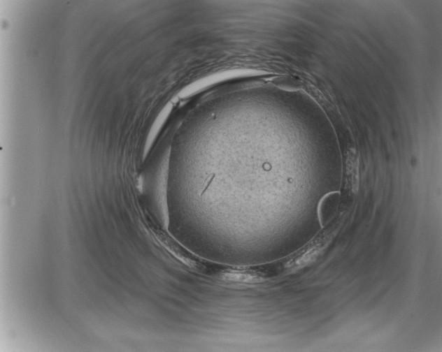 X0000087590614200705041510