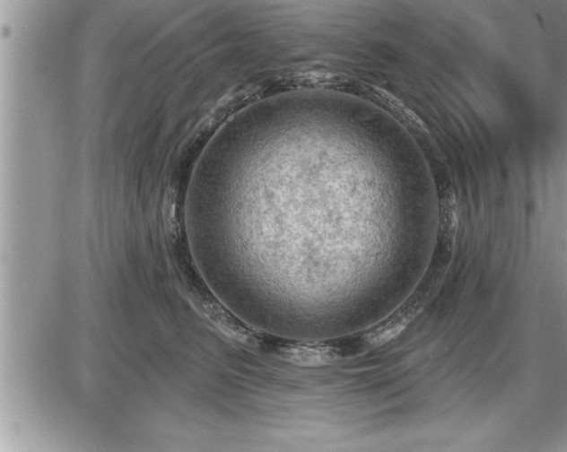 X0000087590615200705041510