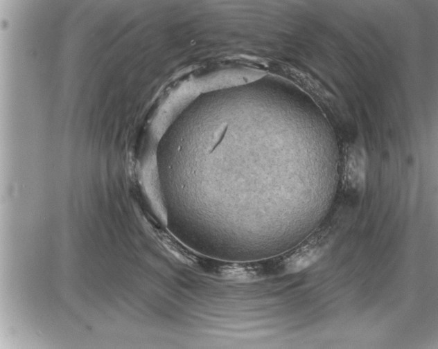 X0000087590616200705041510