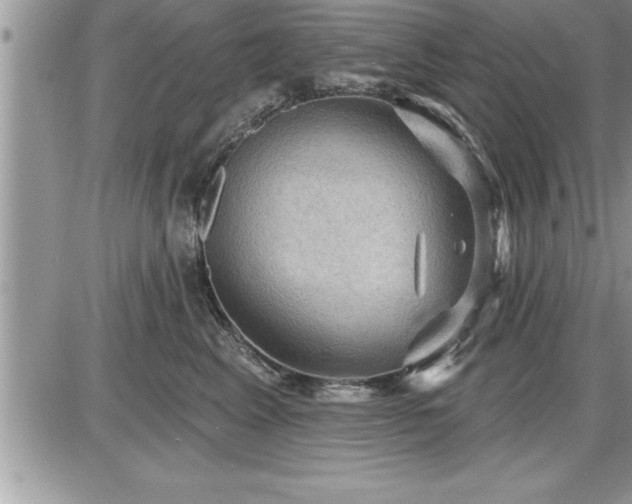 X0000087590617200705041510