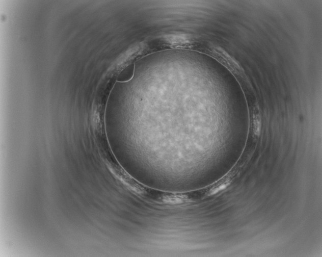 X0000087590618200705041510