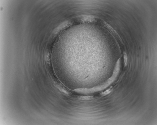 X0000087590619200705041510