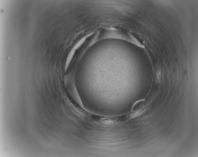 X0000087590620200705041510