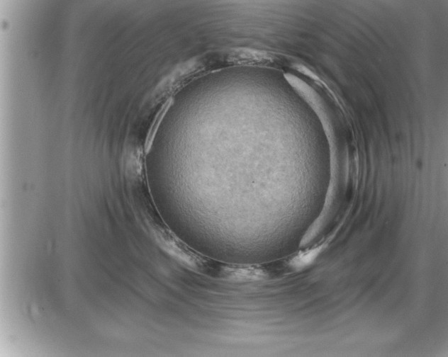 X0000087590621200705041510