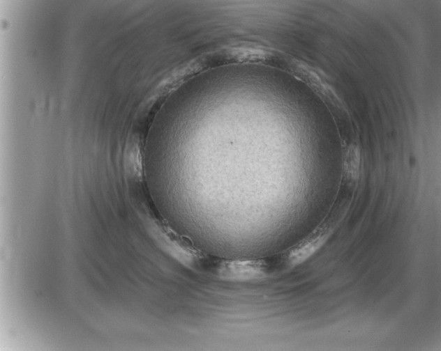 X0000087590622200705041510