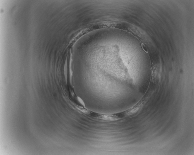 X0000087590623200705041510