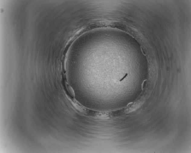 X0000087590624200705041510