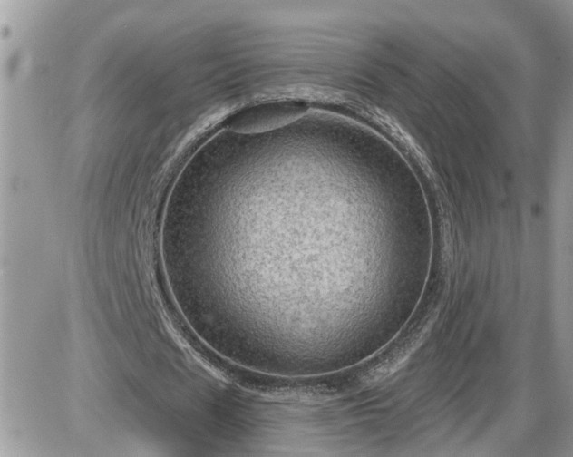 X0000087590625200705041510