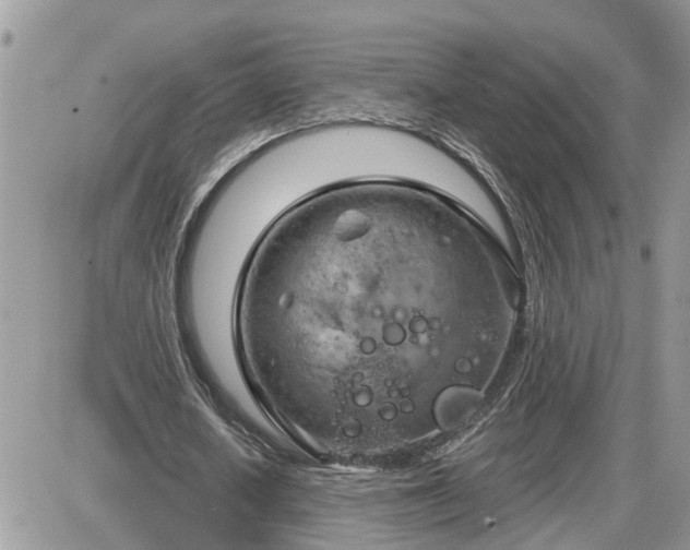 X0000087590626200705041510