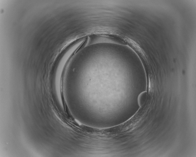 X0000087590627200705041510