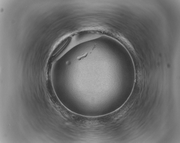 X0000087590628200705041510