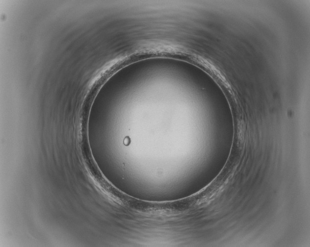 X0000087590629200705041510