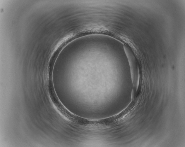 X0000087590630200705041510