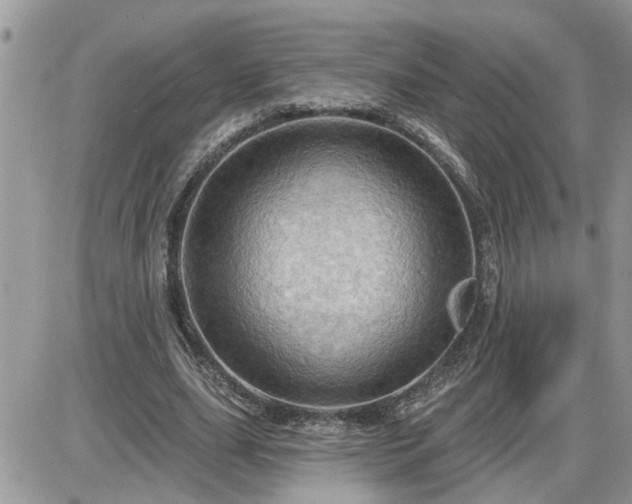 X0000087590631200705041510