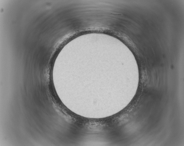 X0000087590632200705041510