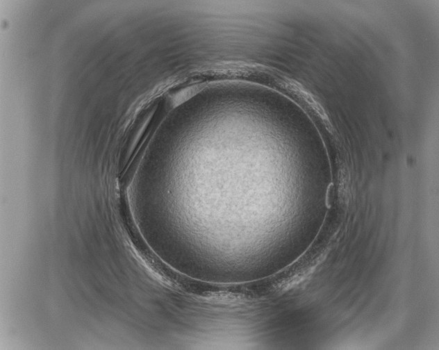 X0000087590633200705041510