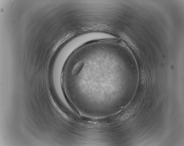 X0000087590634200705041510