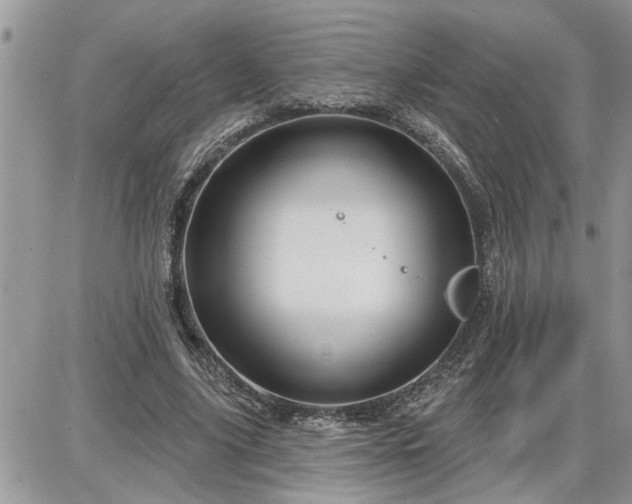 X0000087590635200705041510