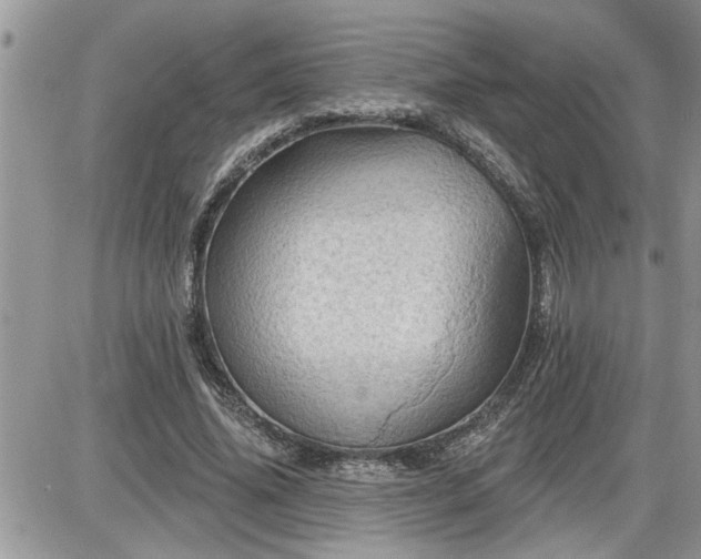 X0000087590636200705041510