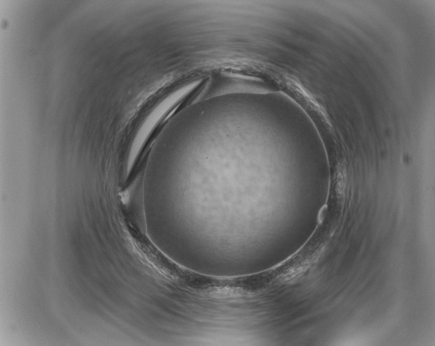 X0000087590637200705041510