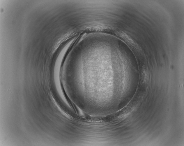 X0000087590638200705041510