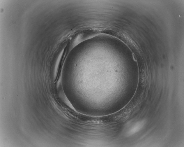 X0000087590639200705041510