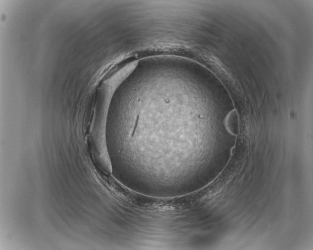 X0000087590640200705041510