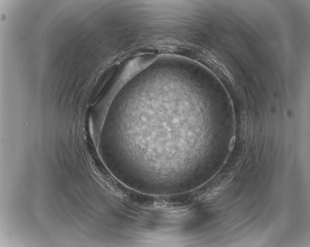 X0000087590641200705041510