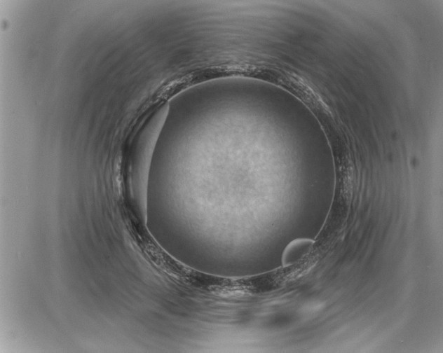 X0000087590643200705041510