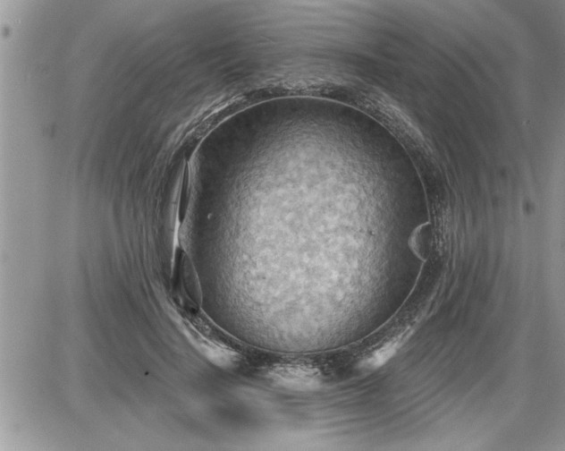 X0000087590644200705041510