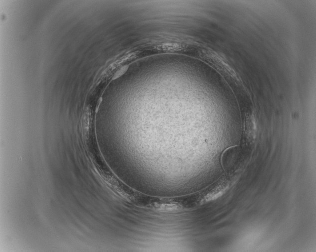 X0000087590645200705041510