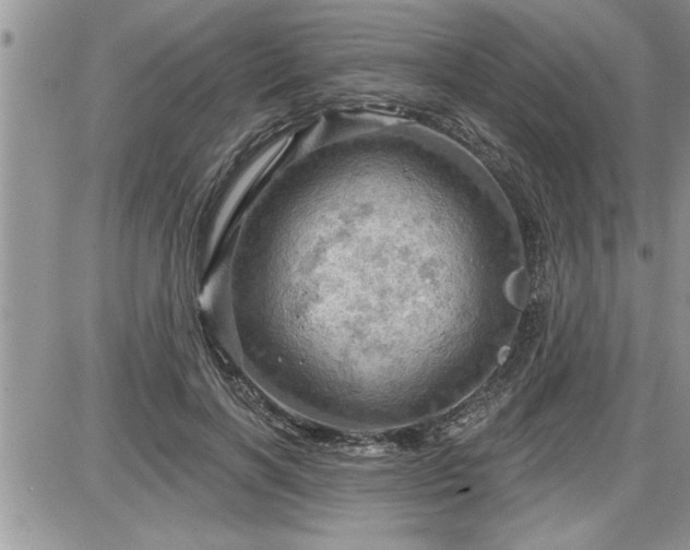 X0000087590646200705041510