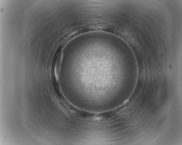 X0000087590647200705041510