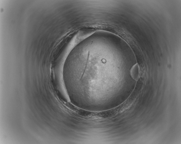 X0000087590648200705041510