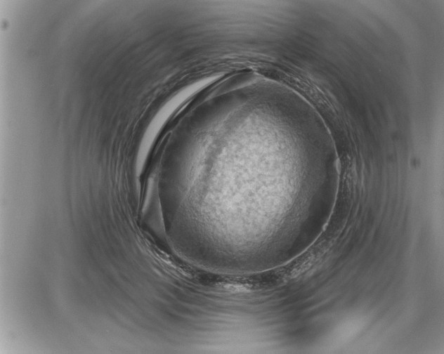 X0000087590649200705041510